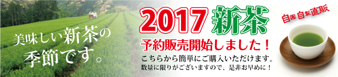 新茶